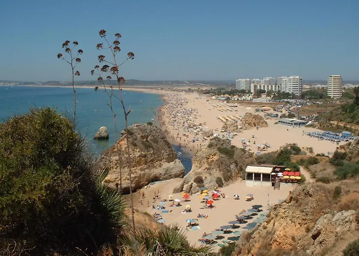 Lägenhet 3 Bed With Airconditioning, Sea And Poolview Near *